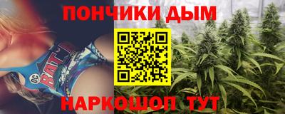 стаф Новокубанск