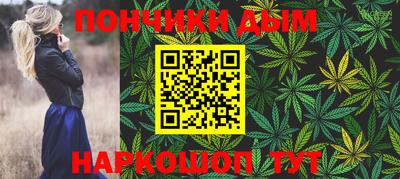 стаф Новокубанск