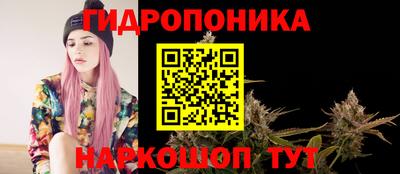 стаф Новокубанск