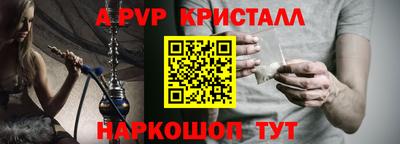 стаф Новокубанск