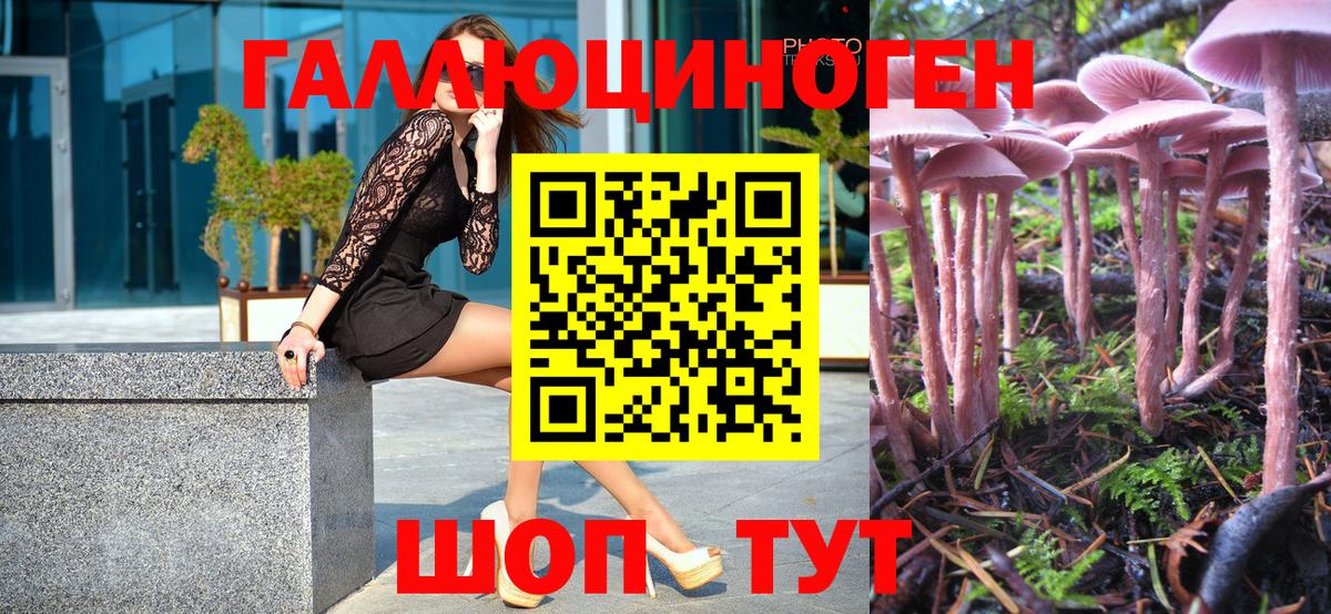 Псилоцибиновые грибы GOLDEN TEACHER  Вход с VPN  Чусовой  Псилоцибиновые грибы MAGIC MUSHROOMS 